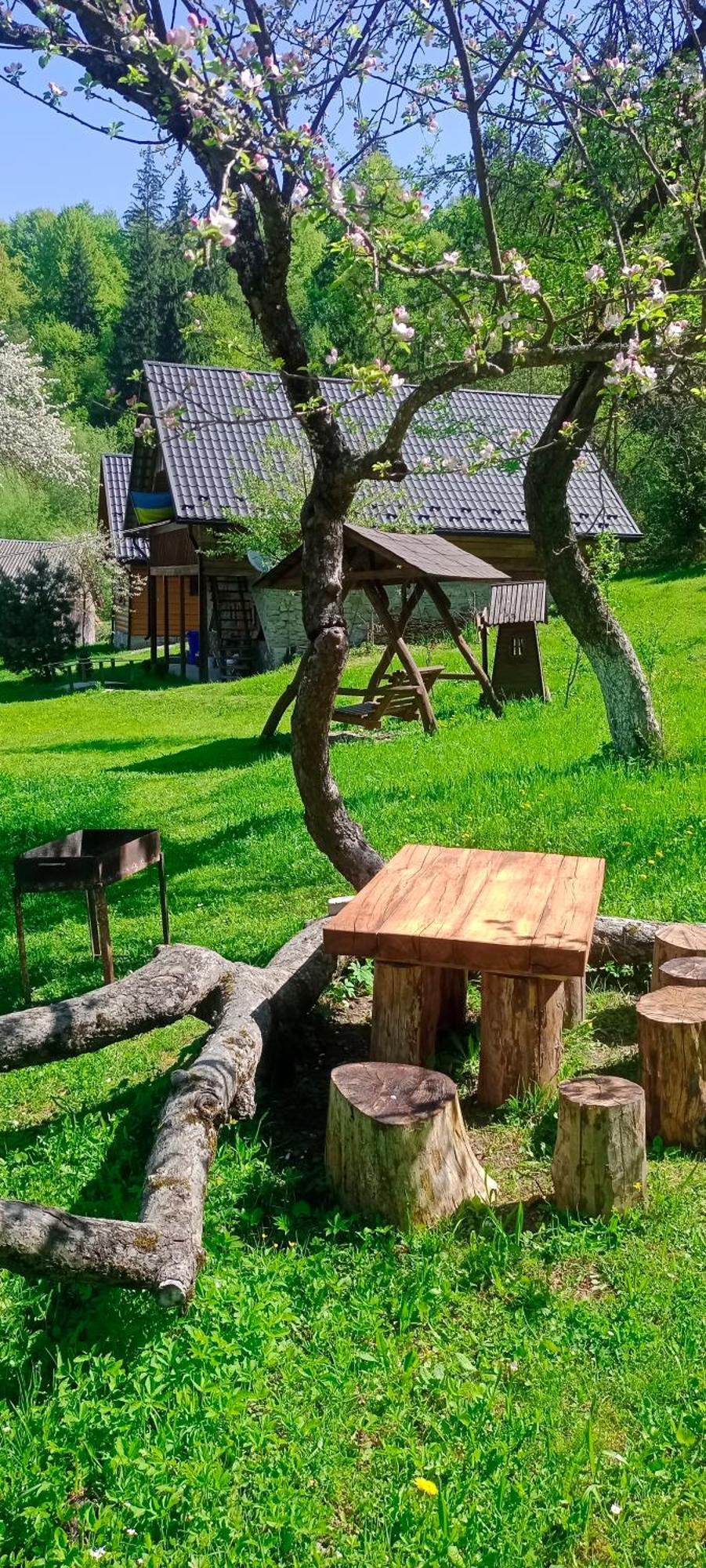 Lodge під горою