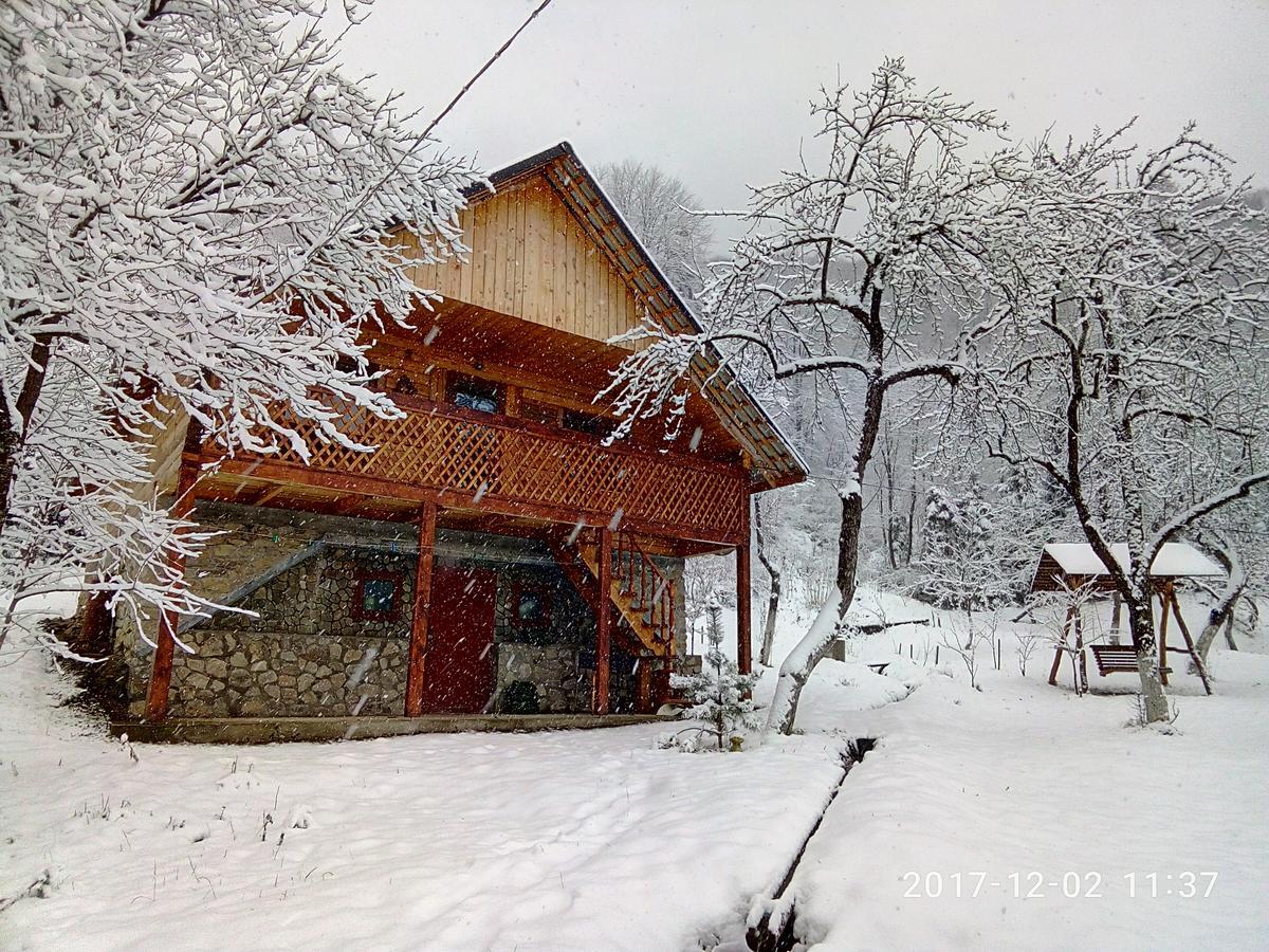під горою Sheshory